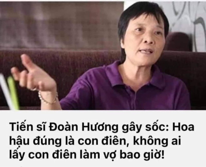 Tiến sĩ Đoàn Hương:" Hoa hậu đúng là con điên"