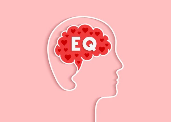 chỉ số eq là gì, eq là gì, iq và eq là gì, adaptive eq là gì, eq, eq test, eq meaning, what is eq