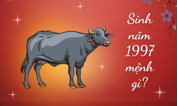 sinh năm 1997 mệnh gì, sinh năm 1997 bao nhiêu tuổi, sinh năm 1997 tuổi con gì, sinh năm 1997 tuổi gì, nữ sinh năm 1997 mệnh gì, sinh năm 1997 hợp với tuổi nào, sinh năm 1997 hợp màu gì, sinh năm 1997 là tuổi con gì, nữ sinh năm 1997, sinh năm 1997 năm nay bao nhiêu tuổi