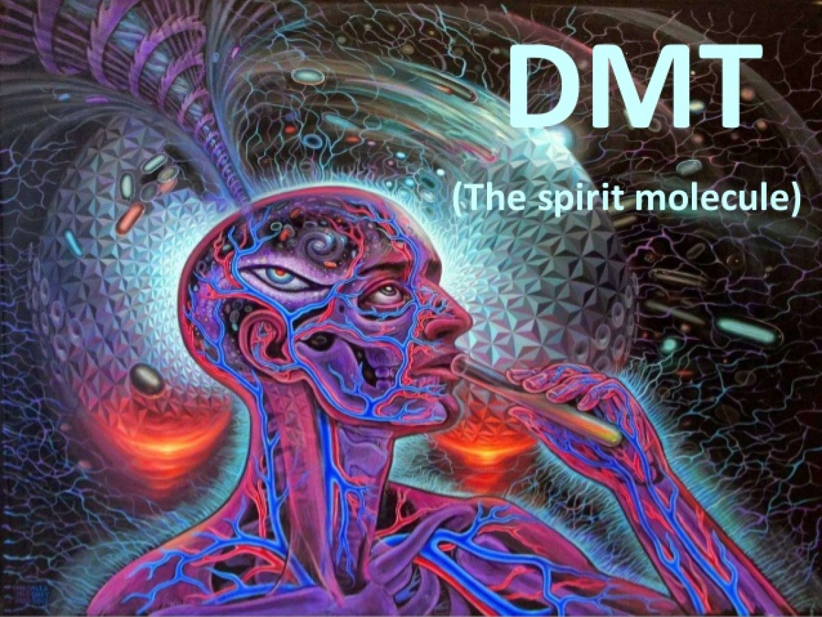 DMT là một chất có thể gây ra ảo giác khi sử dụng
