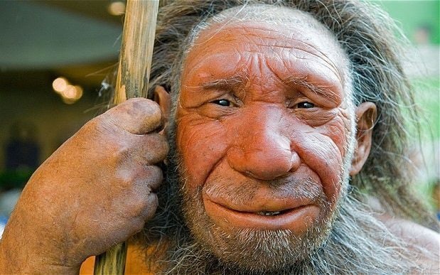 Loài Neanderthal. Neanderthal ngày nay đã tuyệt chủng nhưng cũng thuộc tông Người