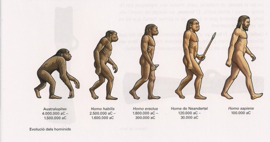 Quá trình tiến hóa của con người