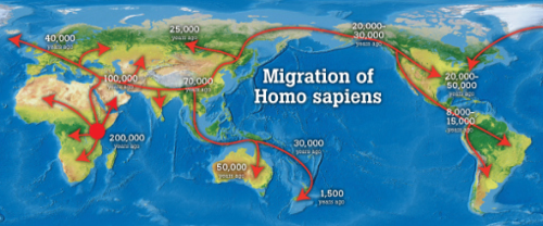 Bản đồ di cư của loài người