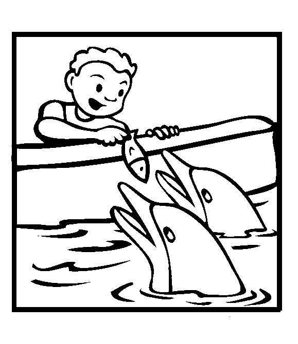 Tổng hợp các bức tranh tô màu cá heo cho bé
