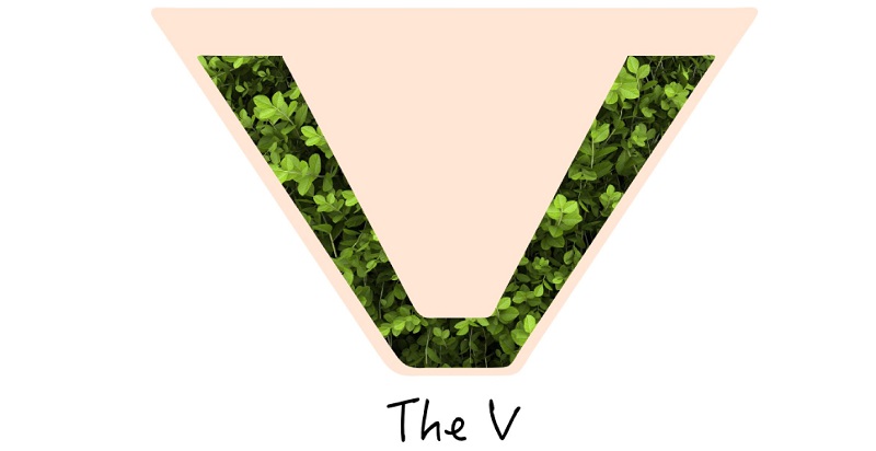 Triệt lông bikini tạo hình chữ V