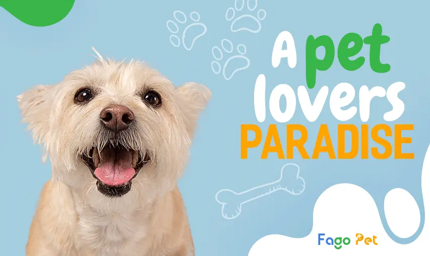 Fago Pet - Trang Sản Phẩm Và Dịch Vụ Về Thú Cưng Uy Tín