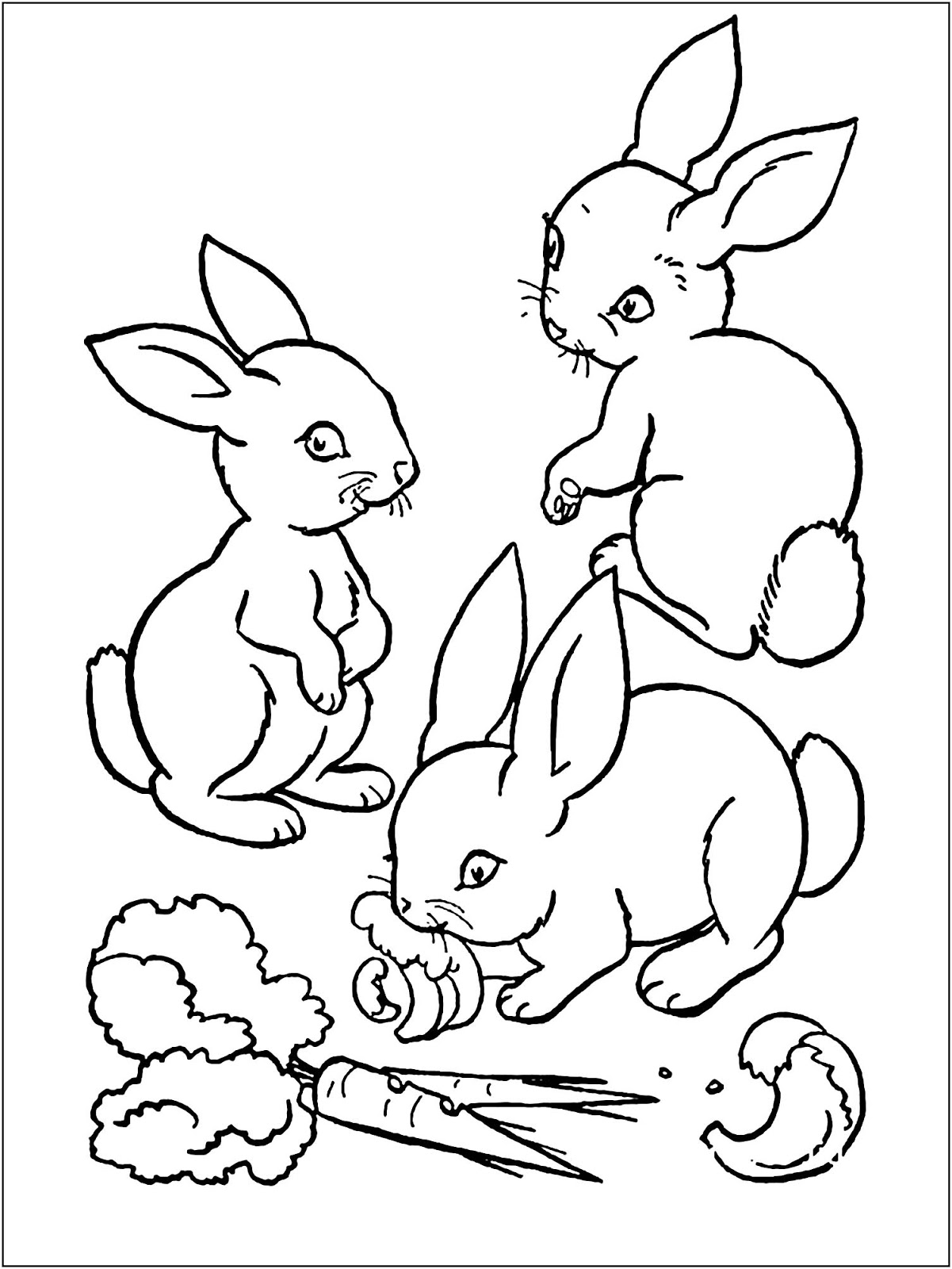 45+ Hình Vẽ Con Thỏ Để Tô Màu Đẹp Và Dễ Thương Cho Trẻ Em