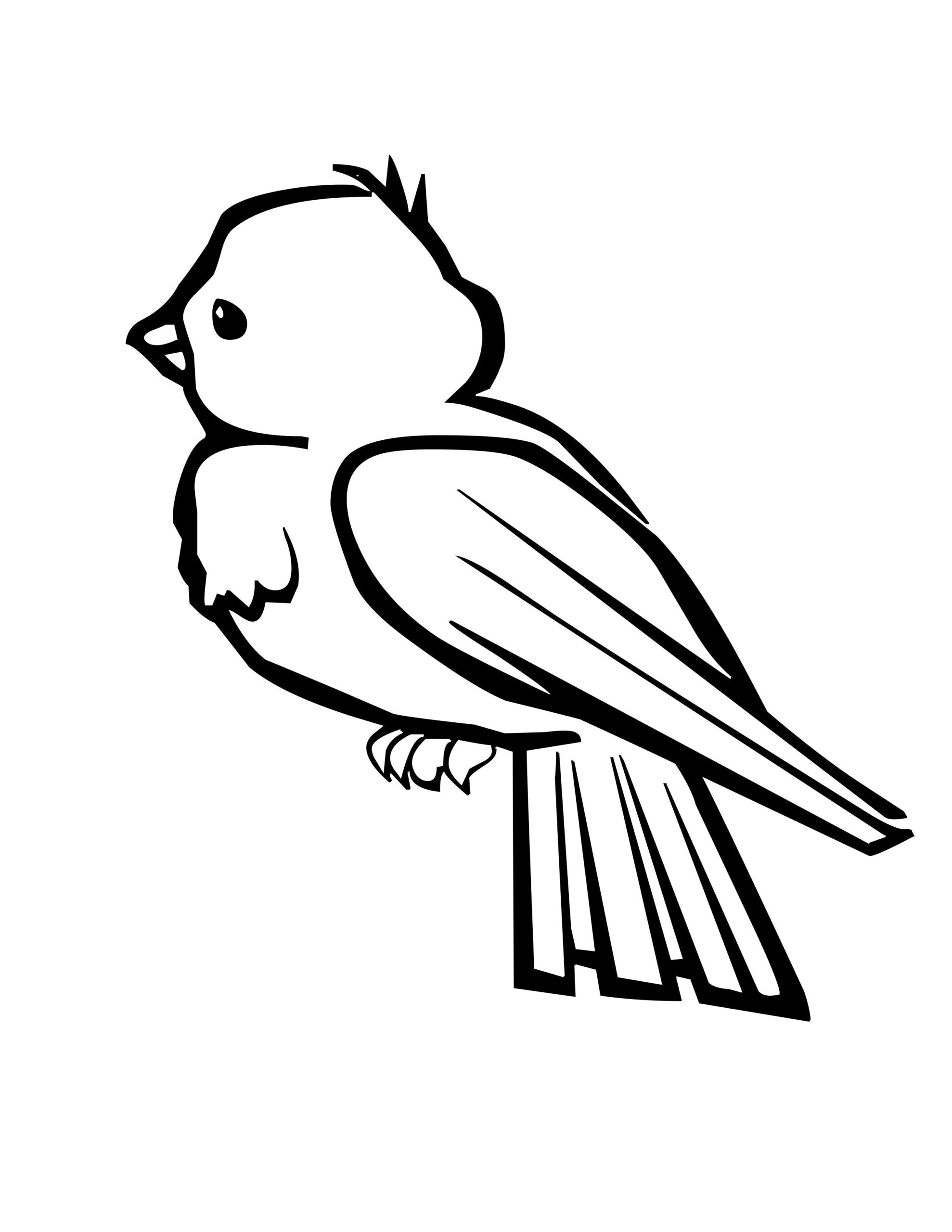 60 Tranh Tô Màu Con Chim 🐦 Dễ Thương Nhất Cho Bé