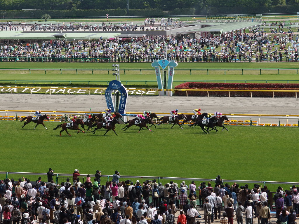 Horse racing @ Tokyo Race Course @ Fuchu | Guilhem Vellut | Flickr