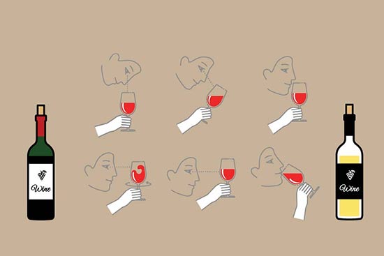 Cách bảo quản và thưởng thức rượu vang