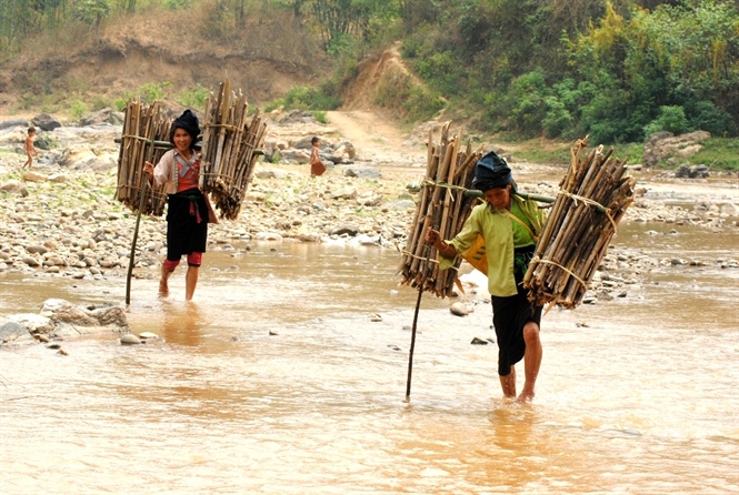 Mẹ cõng củi về nhà - Báo Phụ Nữ